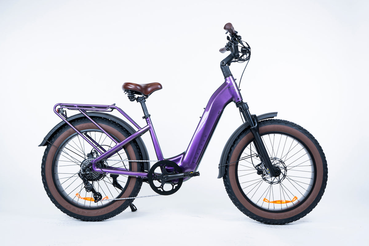 NEW E-Bikes Adrenaline Bike Works NEW E-Bikes Adrenaline Bike Works
